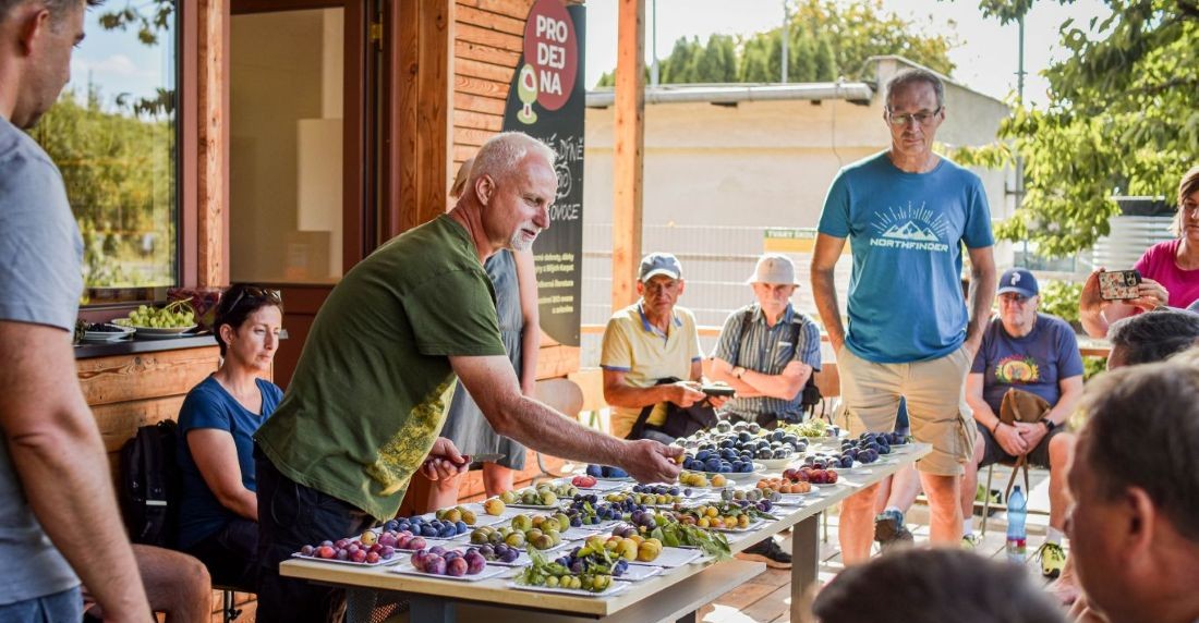 Ovocna_skolka_Bojkovice_exkurze m